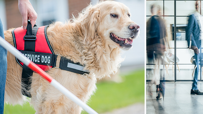 Service and Support Animal Disputes are Rising: ADA Workplace Obligations, Housing and Public Access Rights, and Psychological Foundations